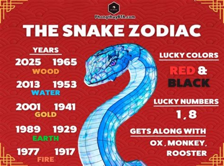 1965 Chinese Zodiac: The Year of the Snake Explained