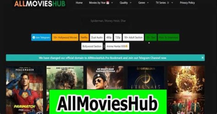 Allmovieshub 300MB Movies: Your Ultimate Guide to Downloading Movies Online