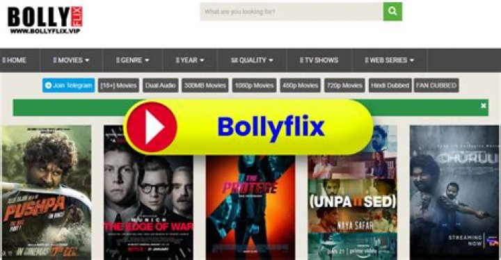 Bollyflix.kids: The Ultimate Platform for Kids' Bollywood Entertainment