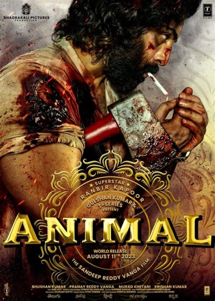 Bollyflix Movie Download Site: Your Ultimate Guide to Bollywood Entertainment