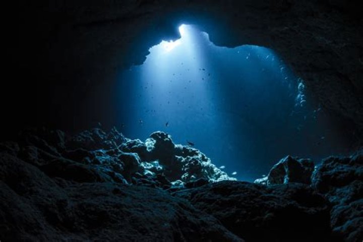 DeepHot.Lnk: Exploring the Depths of a Mysterious Link