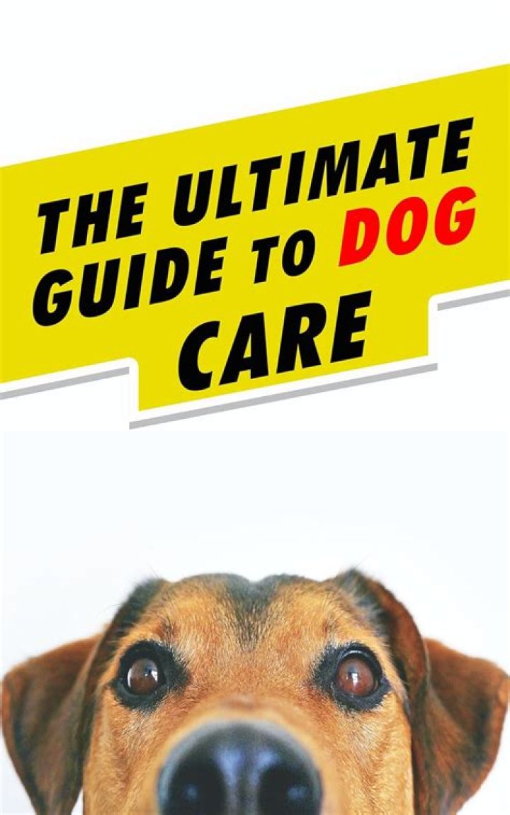 Discover the Ultimate Guide to Dog Care and Ownership