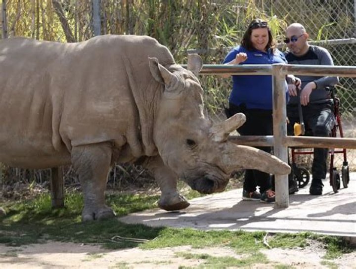 Discover the Wonders of Phoenix Zoo Wildlife: A Comprehensive Guide