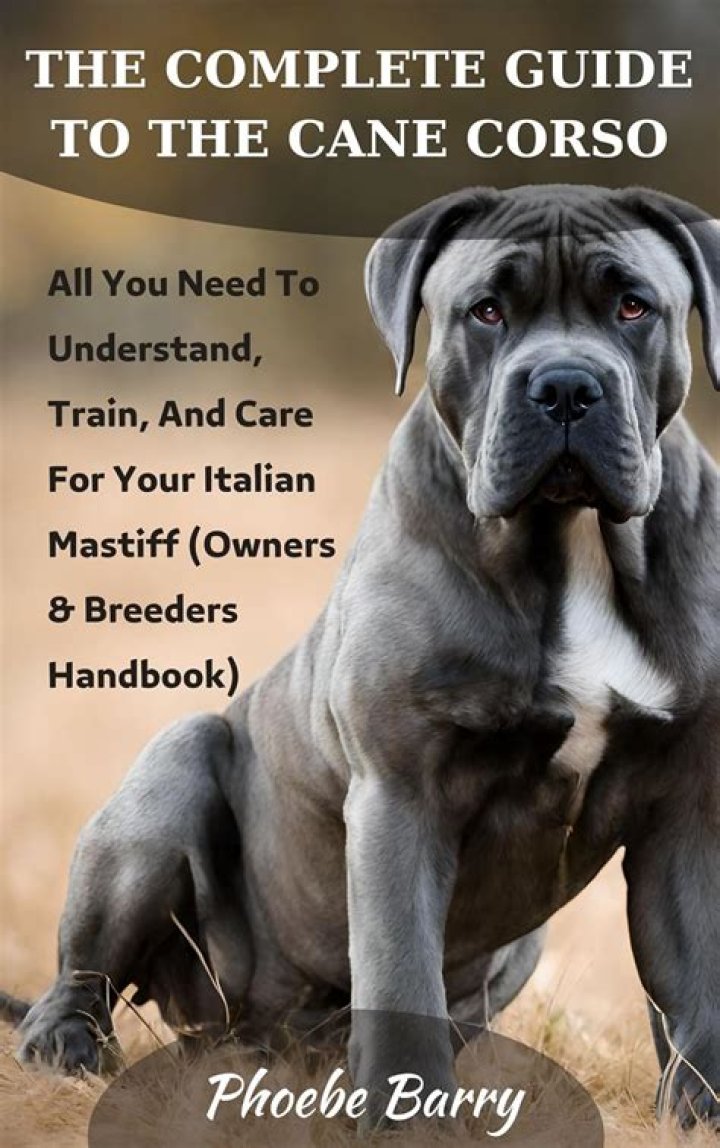 Dog XXX: A Comprehensive Guide to Understanding and Caring for Your Beloved Companion