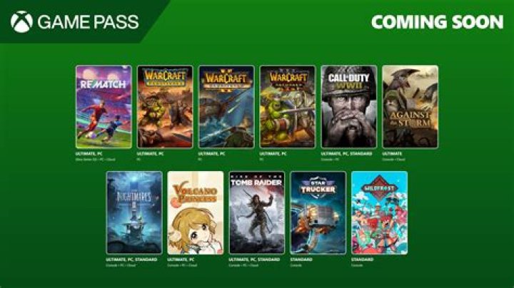 Fry 99.net: The Ultimate Guide to Exploring a World of Gaming Excellence