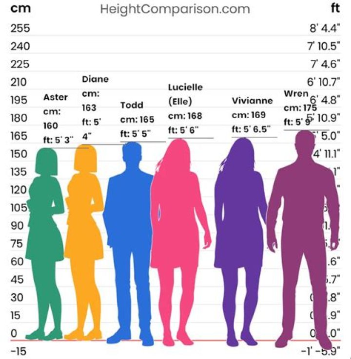 How Tall is Drew Carey? Discovering the Height and More About This Iconic Figure
