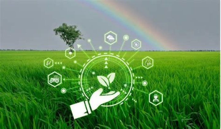 Hub4u Earth: Revolutionizing Sustainable Living Solutions