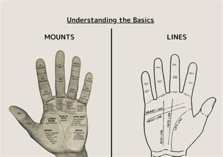 Is Palmistry Accurate? Discovering the Science Behind Hand Reading