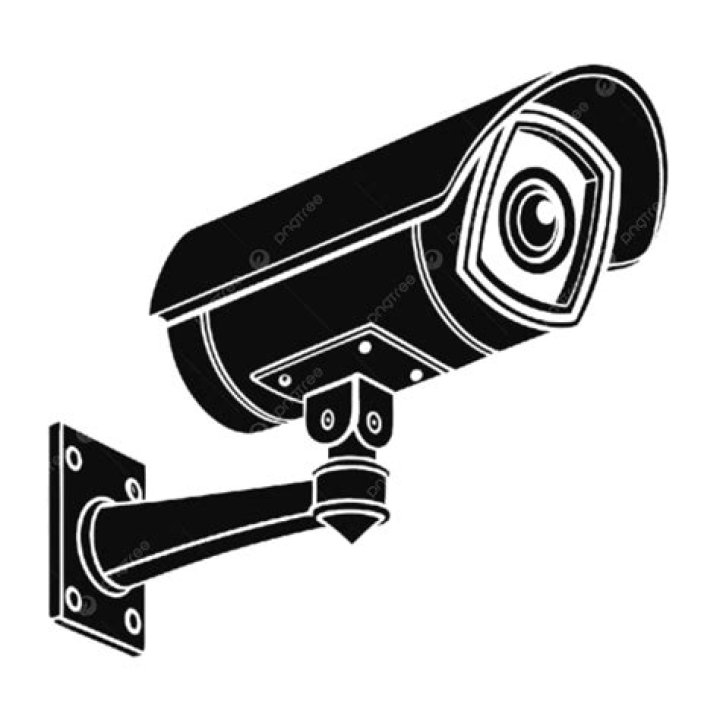 Kid and His Mom CCTV Video: A Comprehensive Analysis
