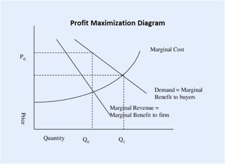 Mallu49.vom: A Comprehensive Guide to Understanding and Maximizing Its Potential