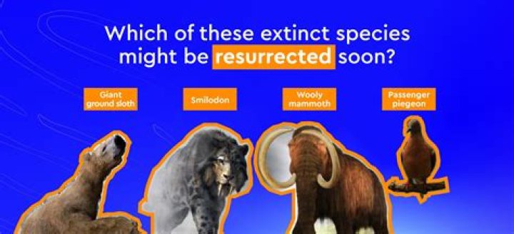 Ox: Discover the Fascinating World of This Remarkable Animal