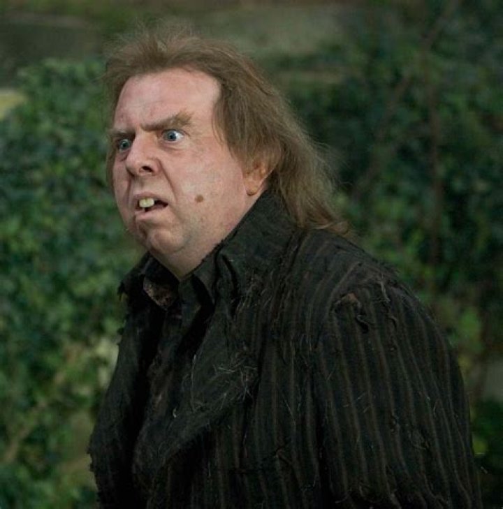 Peter Pettigrew Actor: Unveiling the Talent Behind the Iconic Role