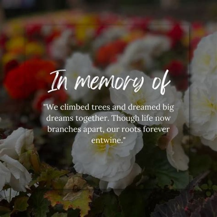 Remembering TLC Members: A Tribute to the Lives Lost