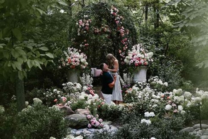 Unveiling the Sparkle: The Story Behind Emily Compagno's Engagement Ring