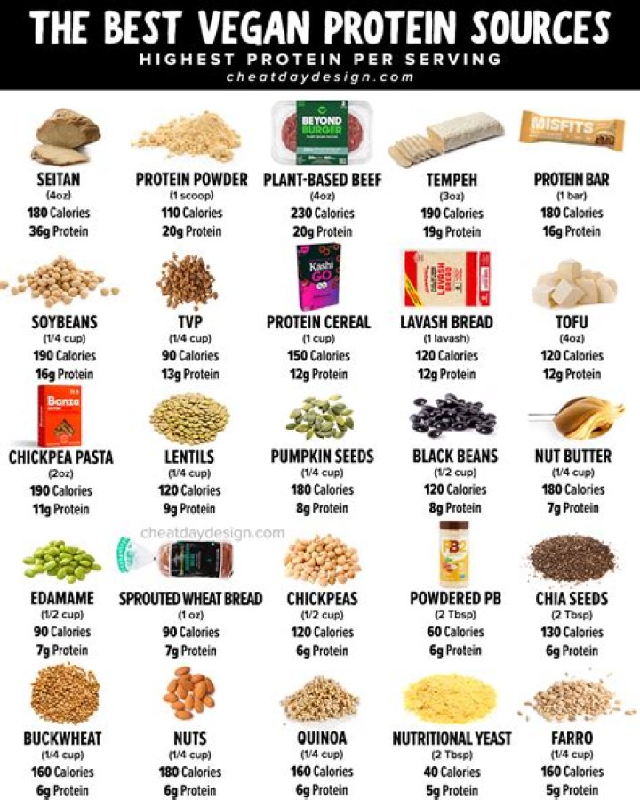 Vegamo IES: Revolutionizing the Future of Vegan Protein