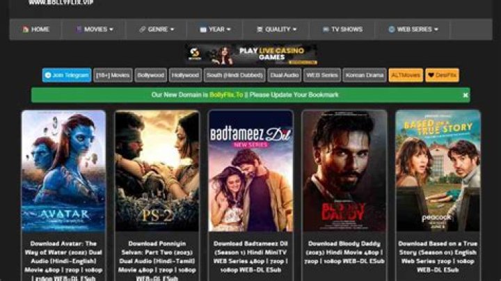www.bollyflix.vip.com 2024: Your Ultimate Guide to Streaming Bollywood Movies